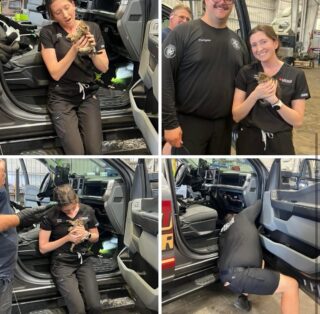 From saving lives to saving kittens 🐾 While working with Dunedin Fire our nurse practitioner helped rescue this little kitty trapped in a car and then gave her a forever home. Nurse hero in every way 🩺❤️